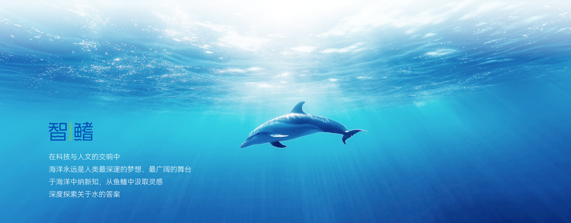 技術平臺